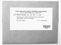 Image Associated With the Occurence